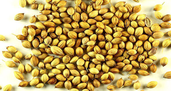 خواص ترنجبین چیست و چطور استفاده میشه؟